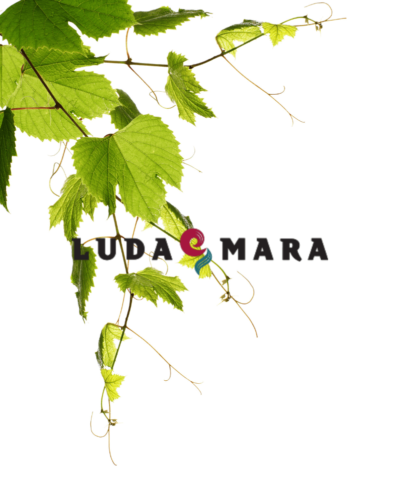 Luda Mara